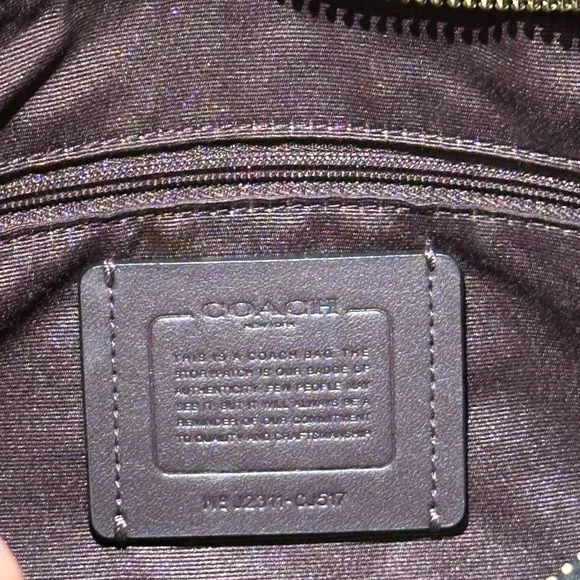 Coach Teri Hobo - Picture 7 of 7